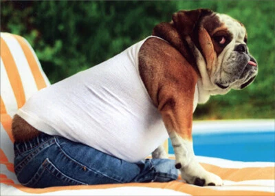 Bulldog Usando Camiseta sin Mangas y Jeans Divertido/Humoroso Tarjeta del Día del Padre Foto 1 de 2