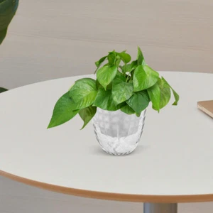 3 Pcs Self-priming Flower Pot Watering Plant Vases Clever Planter - Picture 1 of 12
