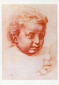 Andrea Del Sarto•Head of a Child•Italian•High Renaissance•Art POSTCARD - Picture 1 of 1
