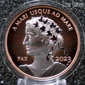 2023 Peace Dollar PAX $1 1 OZ Chapado en Oro Rosa Plata Pura RELOJ Moneda de Prueba Canadá - Imagen 1 de 3