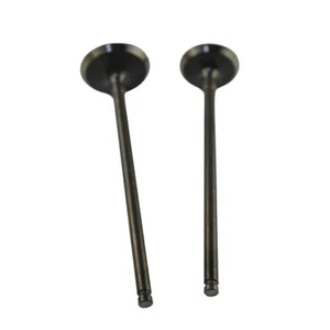 Intake & Exhaust Valves Kit for Yamaha YTM200 YFM200 Moto 4 YFM250 XT200 BW200 - Picture 1 of 2