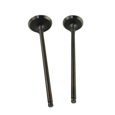 Intake & Exhaust Valves Kit for Yamaha YTM200 YFM200 Moto 4 YFM250 XT200 BW200 Foto 1 de 2