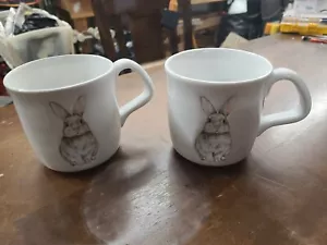 NEW! SET of 2 Williams Sonoma EMBOSSED BUNNY Rabbit Mugs - MINT! - Picture 1 of 4