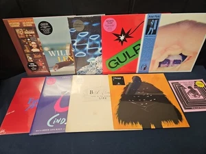 10 NEW VINYL RECORD LOT - BETH HIRSCH + BEAT ESCAPE + FRANKA OROZA + ARIEL PINK - Bild 1 von 15