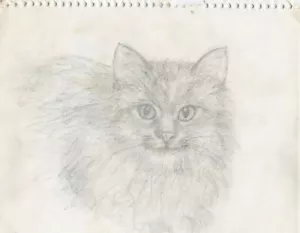 Notizblock Bleistift Katze Skizze 8x10 Zoll ca. 1998 - Bild 1 von 2