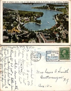 Postal de colección - VISTA DEL PANTANO DE PRIMAVERA. LUCHO DE BELLEZA EN FLORIDA. MUELLES DE SÁBALO - Imagen 1 de 1