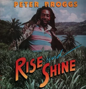 Peter Broggs Rise And Shine NEAR MINT Real Authentic Sound Vinyl LP - Picture 1 of 1