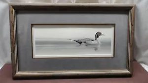 DAVE SELLERS WATERFOWL DUCK FRAMED PICTURE PIN TAIL DRAKE WATERCOLOR 1991 - Picture 1 of 7