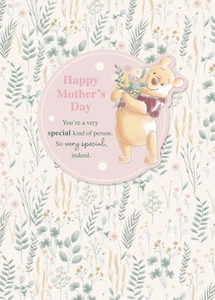Winnie The Pooh Mother's Day Card For Mum Nan Auntie Mother Figure In Your Life - Picture 1 of 2