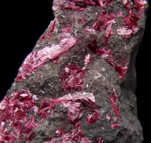 ERYTHRITE -- dark purple crystals !! MOROCCO Anti-Atlas Mts. - Bou Azzer /pl735 - Picture 1 of 11