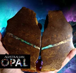 Very Rare Large Boulder Opal Wood Replacement Fossil Specimen Pair, Australia - Foto 1 di 18