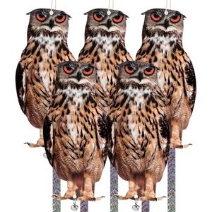 5 Pack Bird Scare Owls - Reflective Hanging Decoration, Dual-Side Printed to ... - Picture 1 of 6