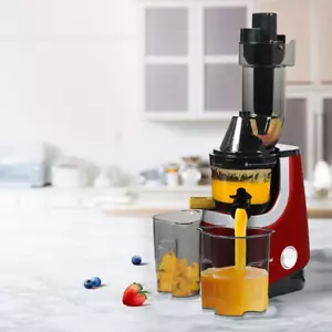 Spector Electric Cold Press Juicer Slow Masticating Machines Whole Fruits Vegeta - Picture 1 of 9