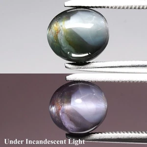 💎 2,76ct Ovaler Cabochon Natur Blau-Grün Katzenauge Alexandrit - Russland Edelstein - Bild 1 von 6