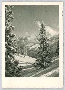 Postal Winter Wonderland Árboles cubiertos de nieve a lo largo de la ladera de la montaña - Imagen 1 de 2