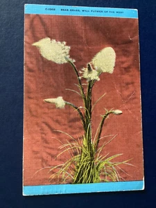 Postcard Linen Bear Grass Wild Flowers of the West Posted Montana to AB B99 - Picture 1 of 3