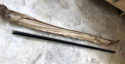 NOS 1968-69 Fairlane-Torino Fastback Ranchero Weatherstrip Ford #C8OZ-6320934-A - Image 1 of 4