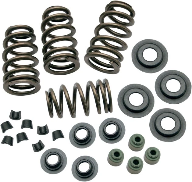 S&S Valve Spring Kit .650 #106-5909 Harley Davidson - Imagem 1 de 1