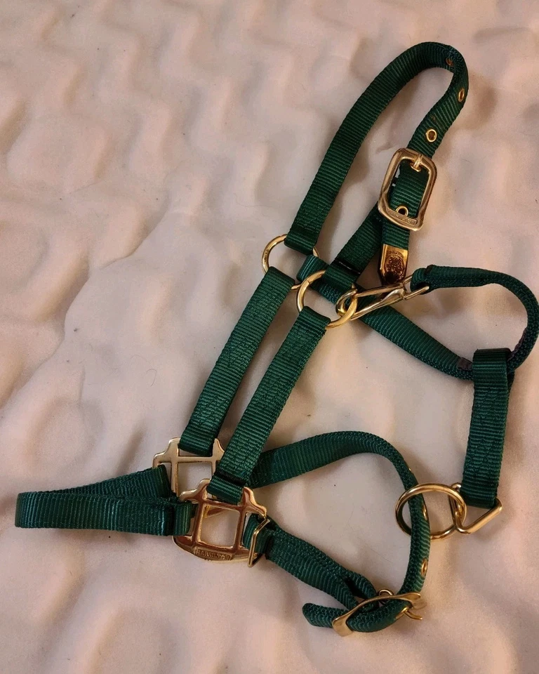 Hamilton Halter Poni Verde O Mini Burro Banda Nariz Ajustable Punta Dorada Foto 1 de 1