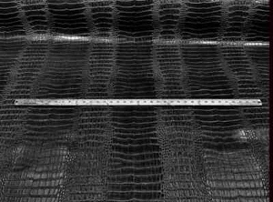 Crocodile Print Vinyl Fabric - Black - 54" Width Faux Leather Sold By Yard - Picture 1 of 3