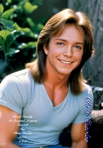 DAVID CASSIDY AN ORIGINAL ARTPRINT by Chris Charles A3 UHD PORTRAIT - Picture 1 of 1
