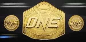 Nuova cintura MMA Crown One Championship cintura da wrestling in vera pelle misura adulto 4 mm - Foto 1 di 2