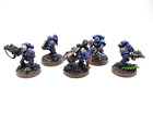 Space Marine Sternguard Squad x5 Well Painted Crimson Fists Warhammer 40k
