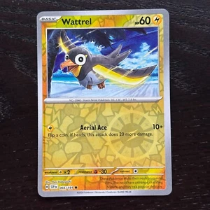 Wattrel 066/191 Pokemon Surging Sparks Scarlet & Violet Reverse Holo Common NM - Picture 1 of 2