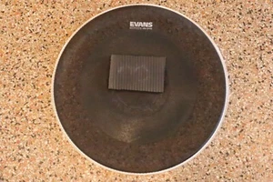 Evans 22" dB ONE 22" Mesh Drum Head - Picture 1 of 7