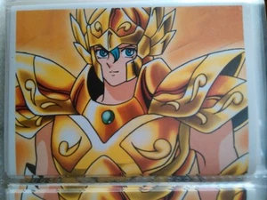 SAINT SEIYA CABALLEROS DEL ZODIACO PANINI - Imagen 1 de 1