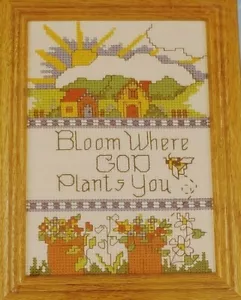 Kreuzstich-Set "God Plants You" gezählt von Candamar Designs - Bild 1 von 3