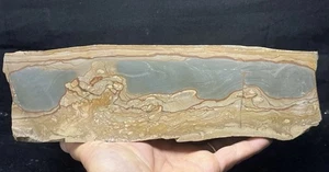 14lb 8oz High Grade CRIPPLE CREEK PICTURE JASPER Lapidary Rough For Cabbing - Picture 1 of 8