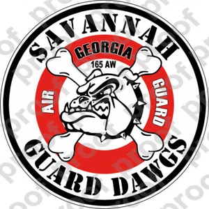 STICKER USAF 165th Airlift Wing B - Picture 1 of 1