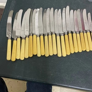 Vintage Set Of 22 Faux Bone Handle Dinner & Butter Knives Cutlery - Picture 1 of 12
