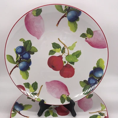 4 Set Cynthia Rowley Melamine Dinner Plates Spring Fruit Red Blue Pink 11.5" - Image 1 of 4