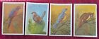 Songbird Prints (Bluebird, Cardinal, Parrot & Cactus Wren) James T. Skipworth 