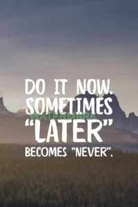DO IT NOW. SOMETIMES LATER BECOMES NEVER INSPIRATIONAL PUBLICITY PHOTO - Picture 1 of 6