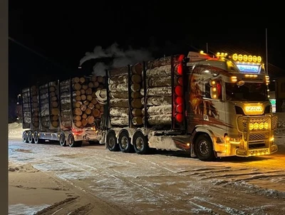 TEKNO 86489 SCANIA HIGHLINE E RIMORCHIO 5 ASSI + CARICO LEGNO ANGEBY AKERI - Immagine 1 di 4