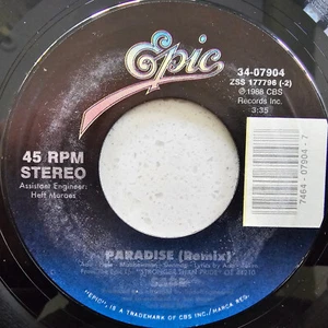 Sade - Paradise (Remix) / Super Bien Total - 1988 US 7" - Imagen 1 de 4