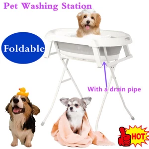 Pet Bathtub Washing Station Elevated Foldable for Dog Cat Bathing and Grooming - Picture 1 of 15