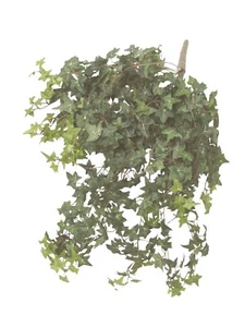 (01417-34047) Artificial Plant Pendant Mata Hanging Ivy Green Dark - Picture 1 of 1