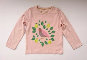 EX-MINI BODEN GIRLS CUTE APPLIQUE JERSEY HORSE-FLOWER- BIRD T-SHIRT AGES 2-14 - Picture 1 of 14