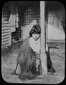 Magic Lantern Slide HUINGATINI AT WHATIWHATIHOE C1885 PHOTO NEW ZEALAND MAORI ** - Foto 1 di 2