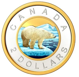 🇨🇦 Rare Canada Coloured Toonie 2 Dollars Coin Polar Bear 99.9% silver UNC 2020 - Picture 1 of 2