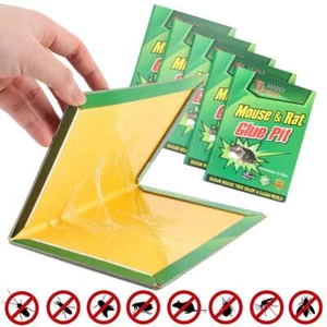 1/2/5Pcs Mouse Glue Traps Large Glue Traps for Mice and Rats Indoor Sticky Traps - Picture 1 of 10