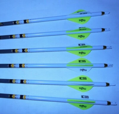 6 Gold Tip Hunter Pro 400 Carbon Arrows Custom White Dip Crest/Blazer Vane - Image 1 of 2