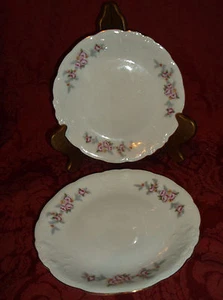 2 PIATTI INSALATA O SNACK WAWEL "ROSE SPRAY" MADE IN POLONIA 6,75"....OTTIMI - Foto 1 di 3