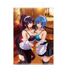 High School D×D Hero B2 Tapestry Wall Scroll Poster Akeno & Xenovia Love Waiter