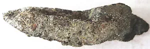 Gem Dinosaur Bone Fossil - Dino - Slab - Utah - Brown - 325 grams - End Cut - Picture 1 of 6