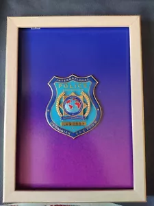 Distintivo Associazione POLIZIA INTERNAZIONALE UCRAINA RARO! IPA - Foto 1 di 4